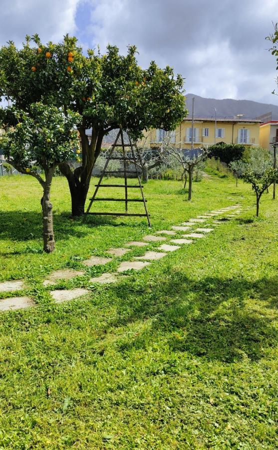 Hotel La Famiglia Pollena Trocchia Exteriér fotografie